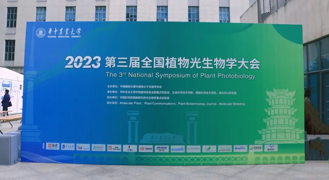 1680053133935346.jpg 2.jpg